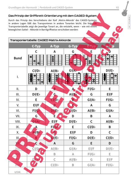 Guitar Chord Colours