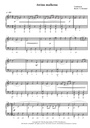 Klezmer Highlights