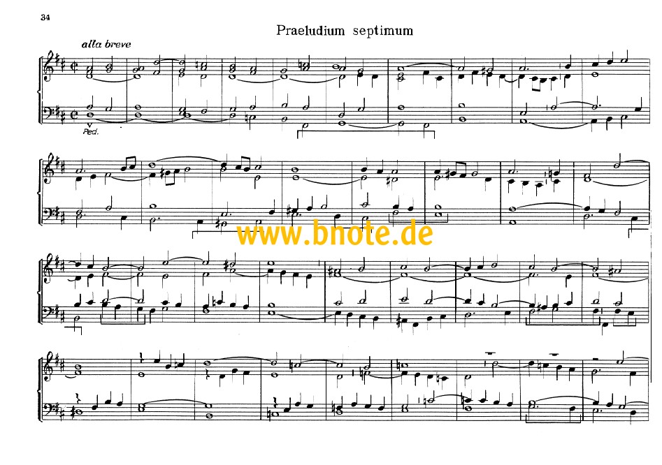 Musikalischer Blumenstrauss