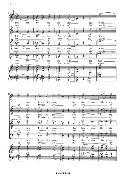 Die Eitelkeiten des Lebens / The vanities of life op. 30