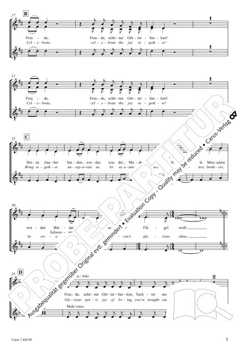 Ode an die Freude / Ode to Joy