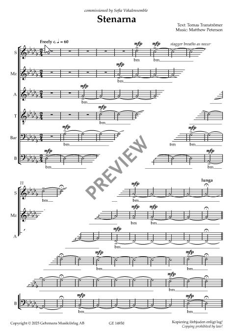 Stenarna (The Stones)