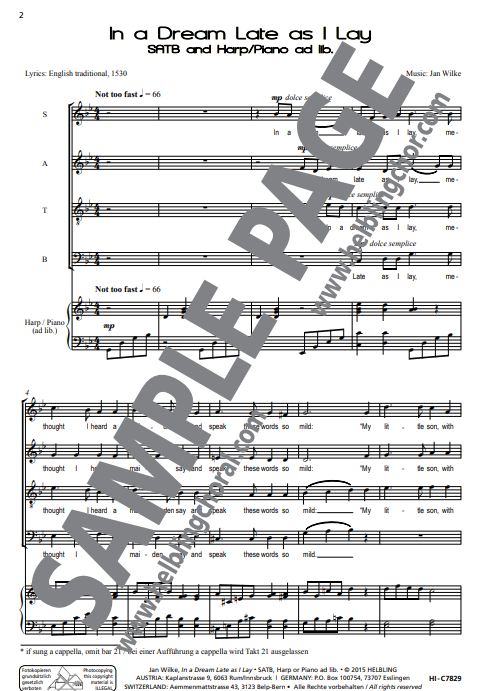 In a dream late as I lay