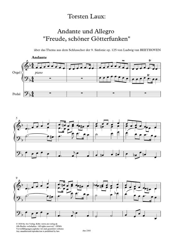 Andante und Allegro "Freude schöner Götterfunken!