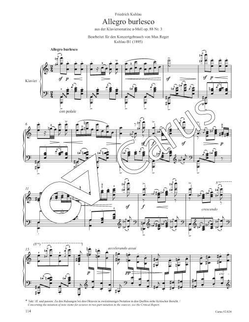 Bearbeitungen für Klavier zu zwei Händen Band 1 - Werkausgabe Band III/6