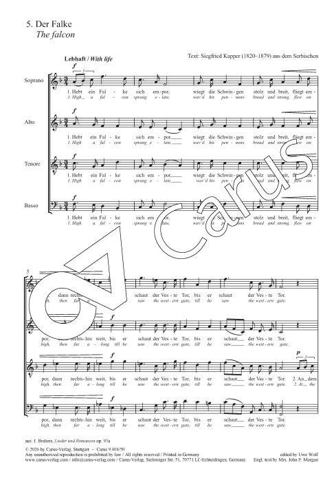 Der Falke op. 93a/5