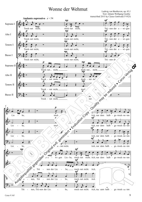 Drei Lieder nach Texten von Goethe