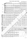 Drei Lieder nach Texten von Goethe