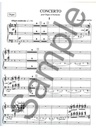 Concerto pour Orgue et Orchestre