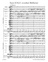 Matthäuspassion, BWV 244