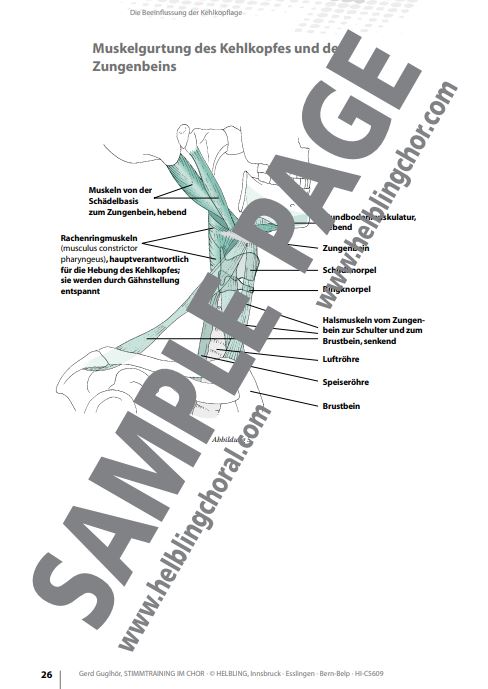 Stimmtraining im Chor
