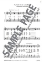 Maierhofer Kompakt - SATB Großdruck