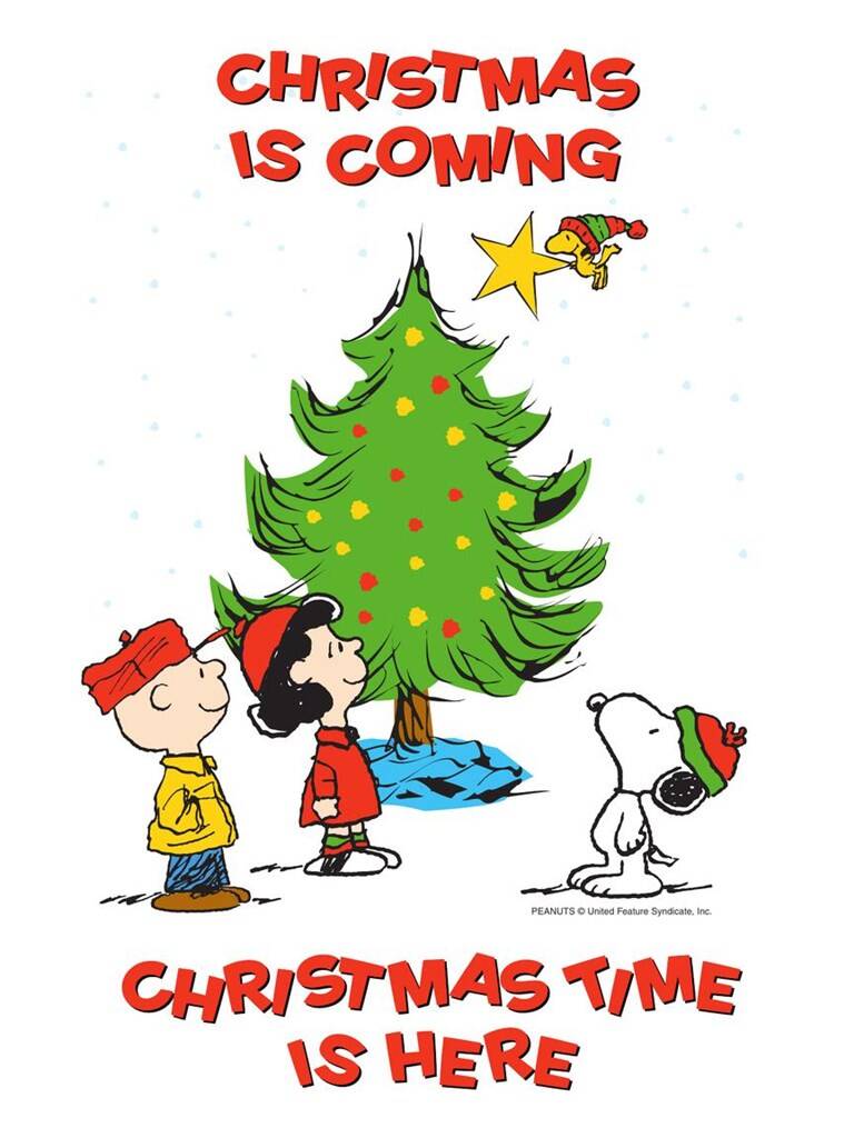 The Charlie Brown Collection