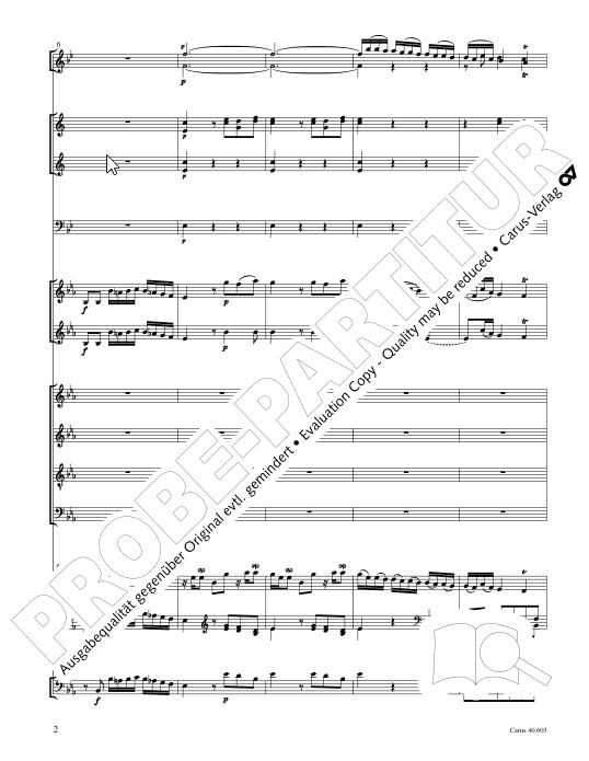 Große Orgelsolomesse, Hob. XXII:4