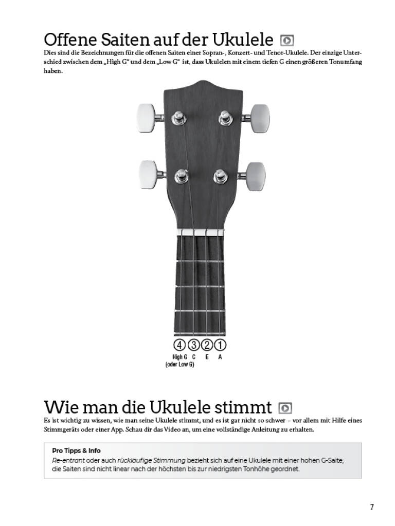 Do-It-Yourself Ukulele