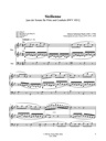Die Bearbeitungen für Orgel