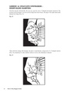 How to play Reggae Guitar