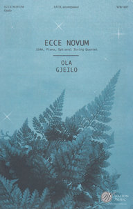 Ecce novum