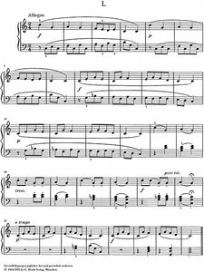 Lieder von der Murinsel