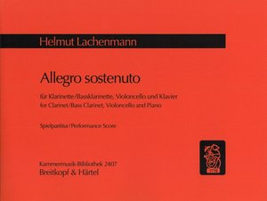 Allegro sostenuto