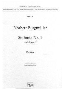 Sinfonie Nr. 1 c-moll op. 2