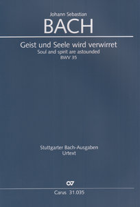 Geist und Seele wird verwirret, BWV 35