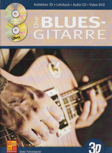 Die Blues Gitarre in 3D