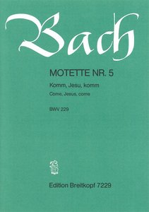 Komm, Jesu, komm, BWV 229