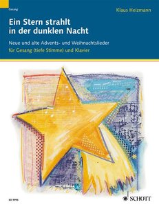 Ein Stern strahlt in der dunklen Nacht
