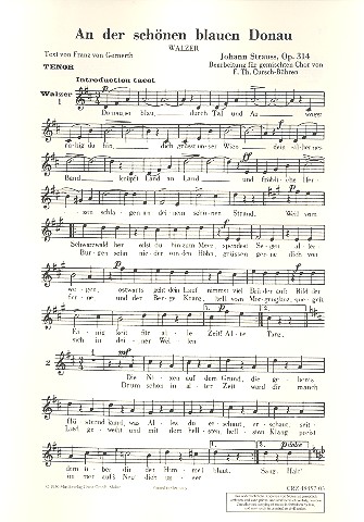An der schönen blauen Donau, op. 314