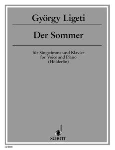 Der Sommer (1989)