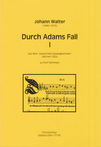 Durch Adams Fall I