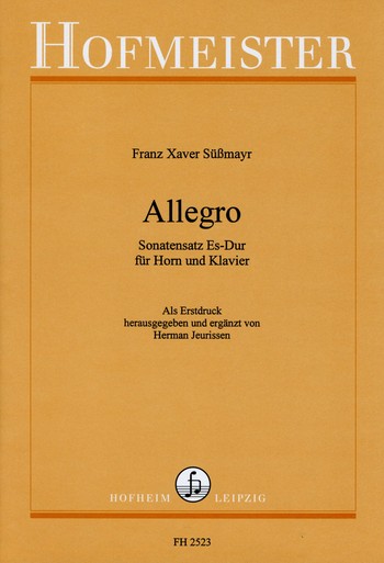 Allegro (Sonatensatz Es-Dur)