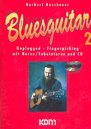 Bluesguitar 2