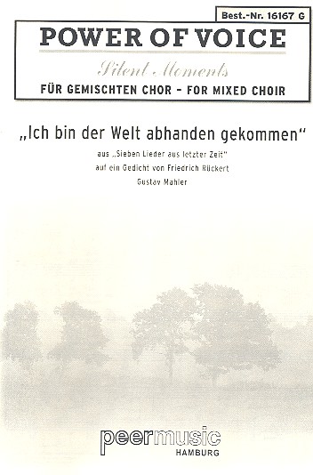 Ich bin der Welt abhanden gekommen