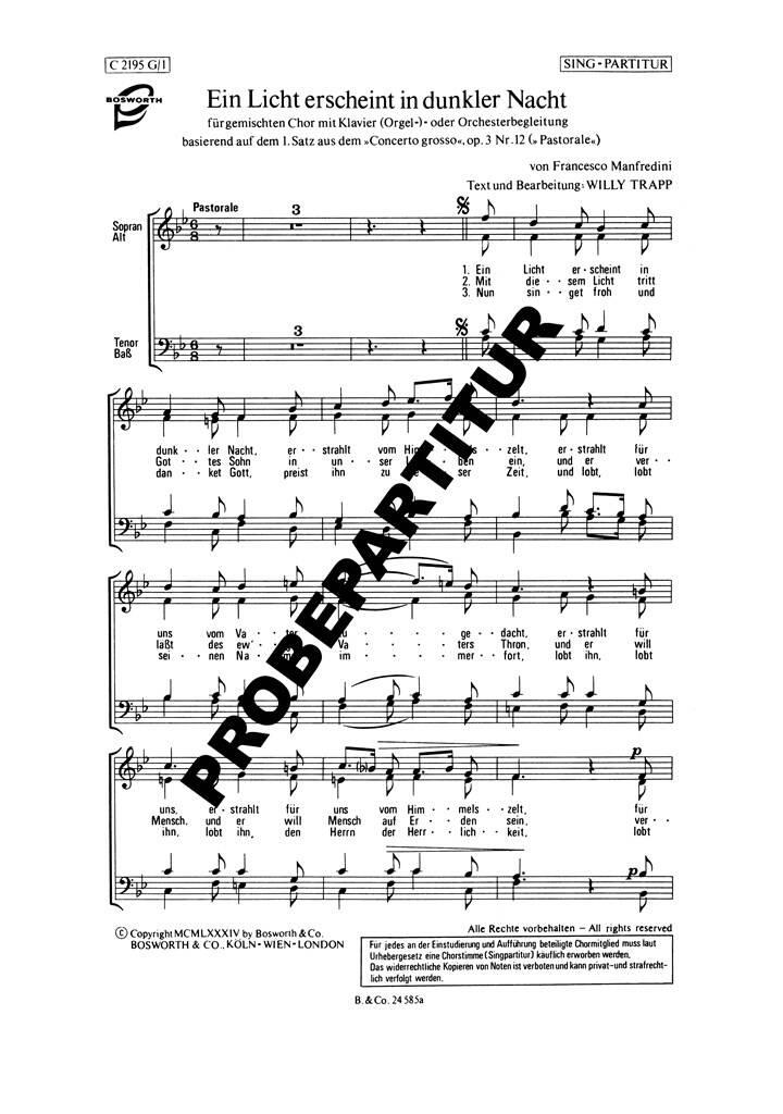 Ein Licht erschient in dunkler Nacht