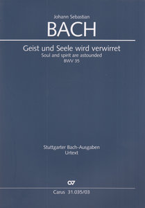 Geist und Seele wird verwirret, BWV 35