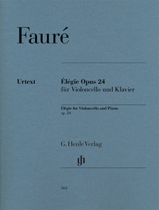 Elegie op. 24