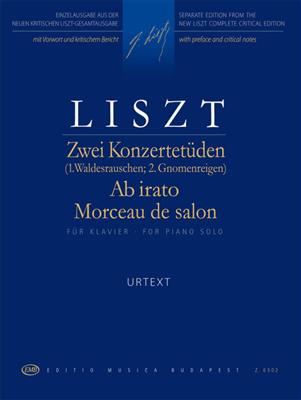 2 Konzertetüden / Ab irato / Morceaux de salon