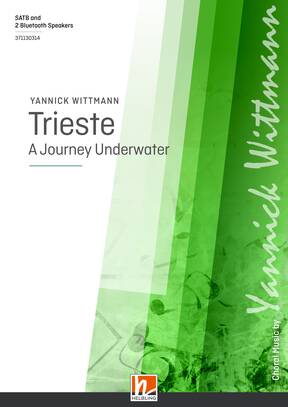 Trieste - A journey underwater