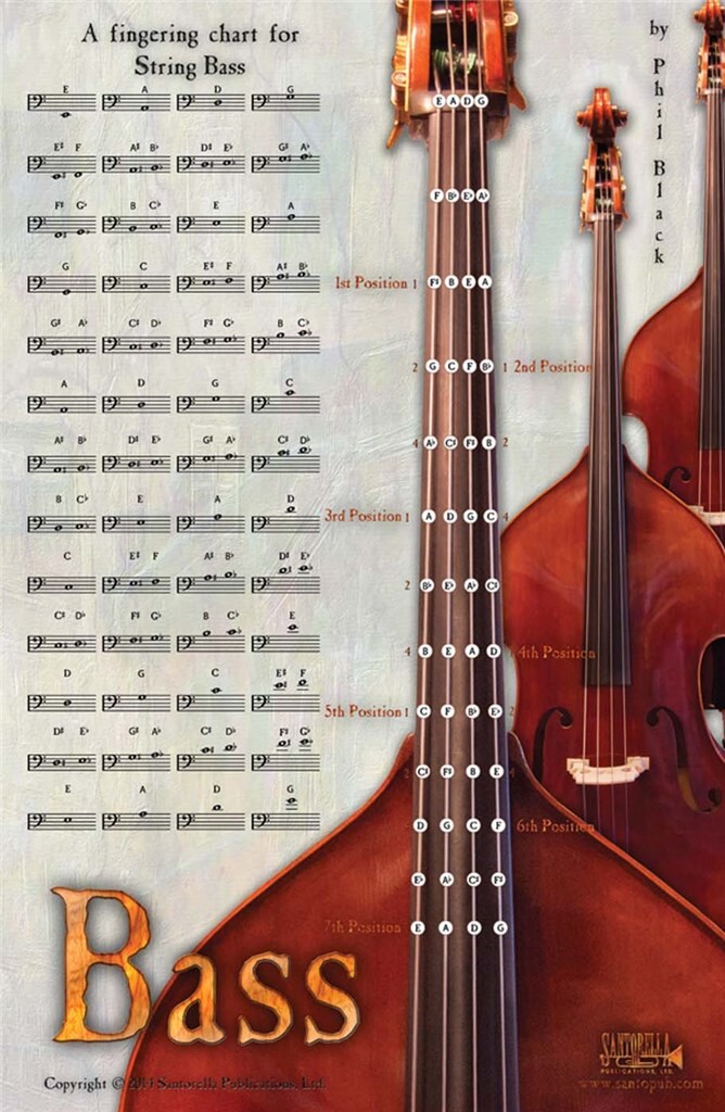 Bass - Instrumental Poster