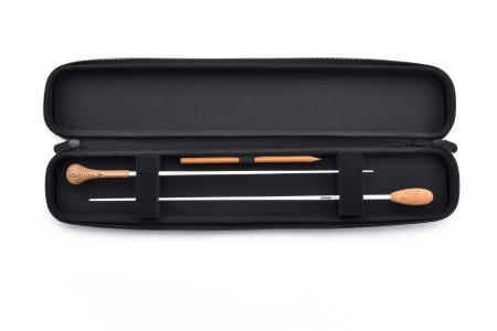 Baton Case