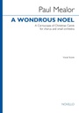 A wondrous Noel