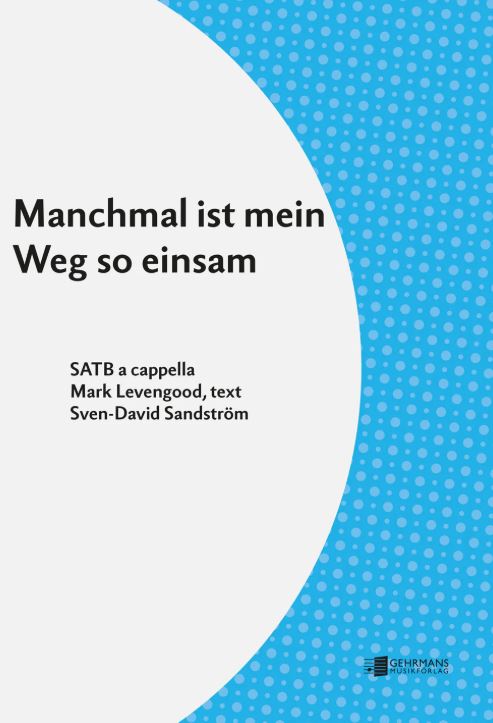 Manchmal ist mein Weg so einsam