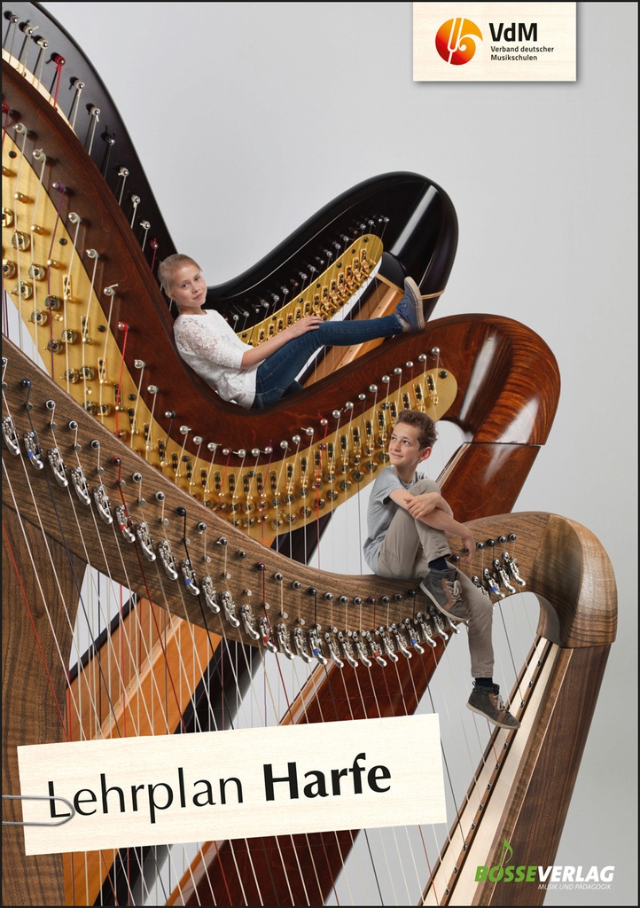 Lehrplan Harfe