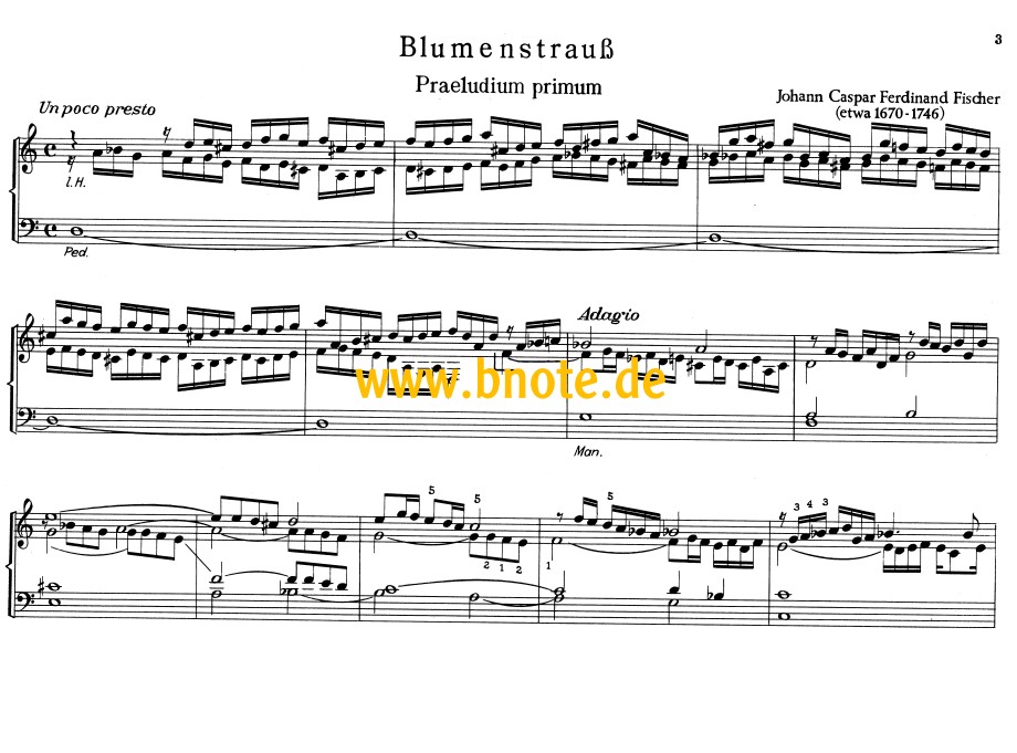 Musikalischer Blumenstrauss