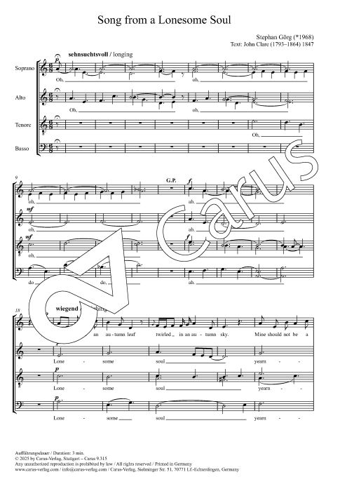 Song from a lonesome soul