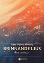 Brinnande ljus (Burning light)