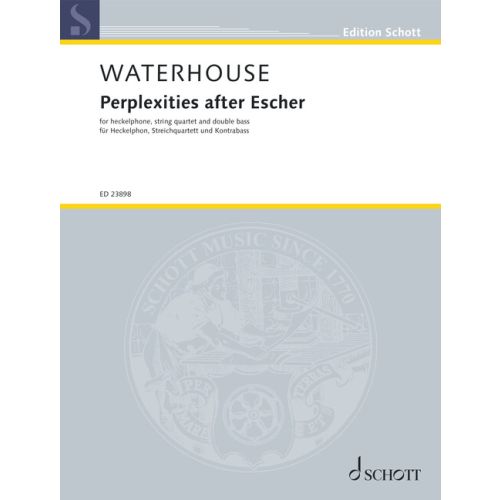 Perplexities after Escher