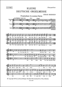 Kleine deutsche Orgelmesse